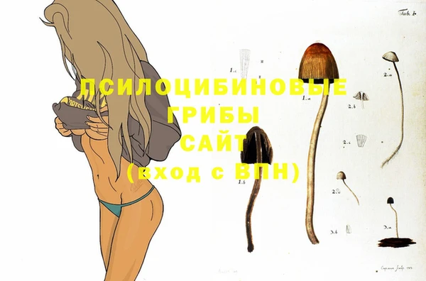 2c-b Краснослободск