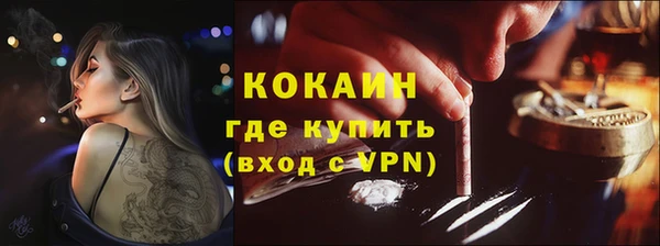 PSILOCYBIN Кулебаки