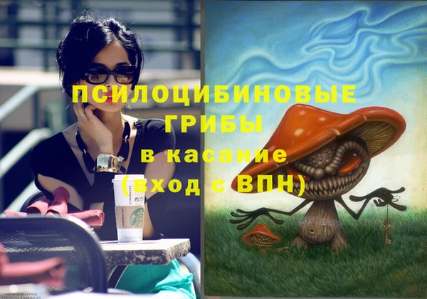 шишки Костерёво
