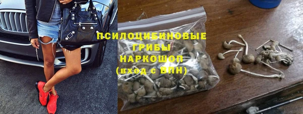 2c-b Краснослободск