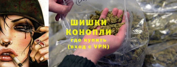 2c-b Краснослободск